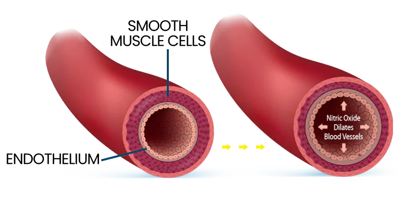 blood-flow-presentation