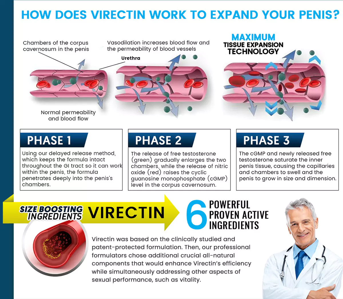 virectin-works-phases