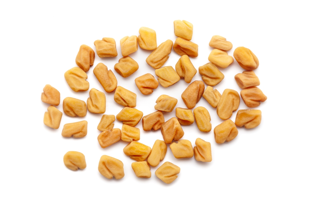 fenugreek